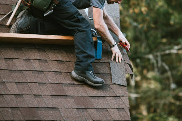 Best Roof Maintenance Services  in Eddyville, IA